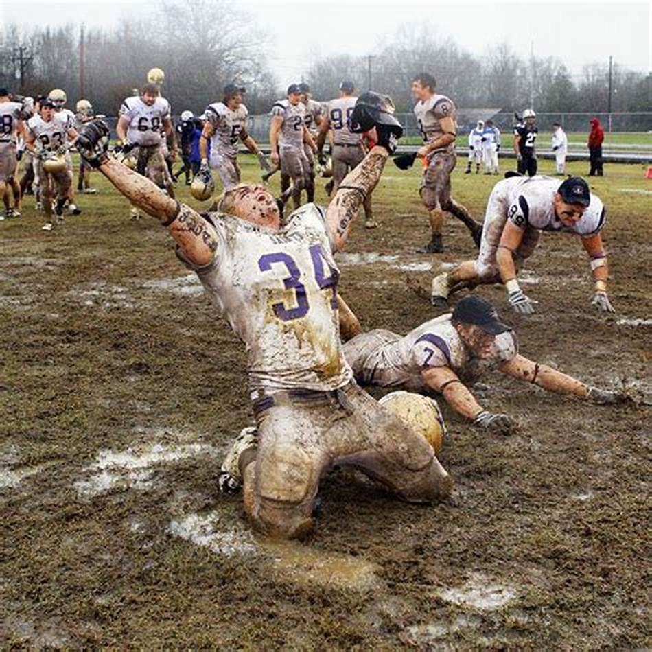 引了世界上 引了世界上